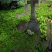 Photo showing Tombstone of Franiszek Ciesiulewicz