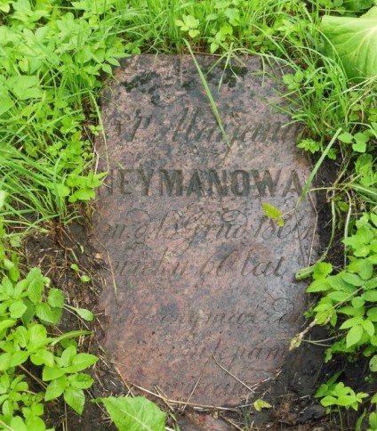 Nagrobek Marianny Neiman, cmentarz na Rossie w Wilnie, stan z 2014