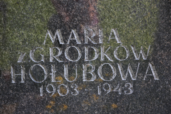 Fragment nagrobka Marii Hołub, cmentarz na Rossie w Wilnie, stan z 2013
