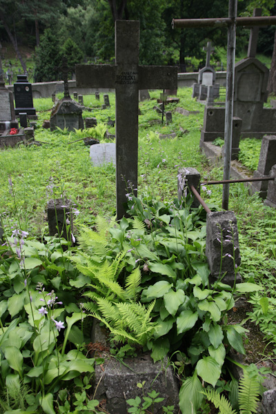 Tombstone of Gustav and Mieczyslaw Brzeski, Ross Cemetery in Vilnius, as of 2013