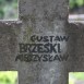 Fotografia przedstawiająca Nagrobek Gustawa i Mieczysława Brzeskich