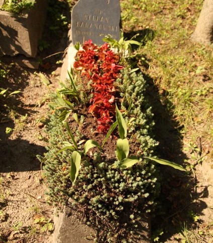 Nagrobek Stefana Baranowskiego, cmentarz Na Rossie w Wilnie, stan z 2013