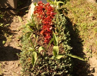 Nagrobek Stefana Baranowskiego, cmentarz Na Rossie w Wilnie, stan z 2013