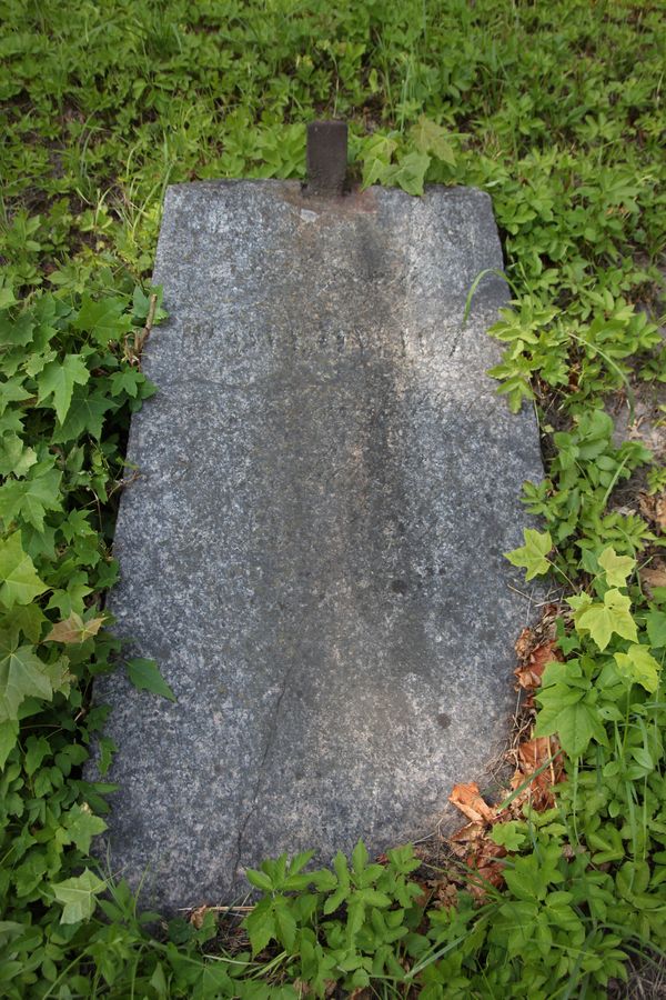 Tombstone of Ferdinand Pavlovich, Na Rossie cemetery in Vilnius, as of 2013