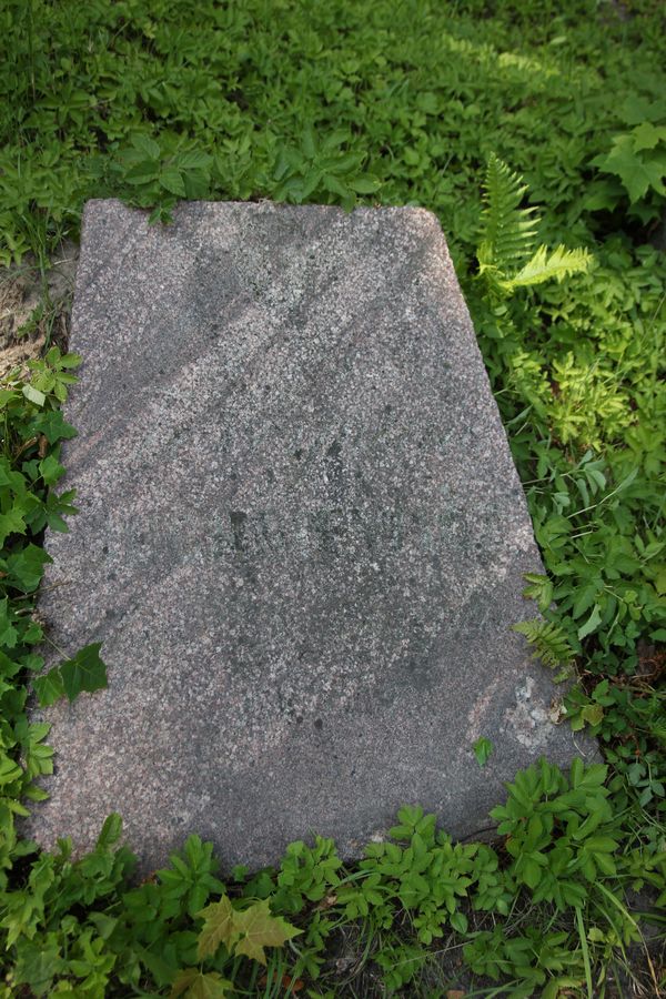 Tombstone of Ferdinand Yuchnevich, Na Rossie cemetery in Vilnius, as of 2013