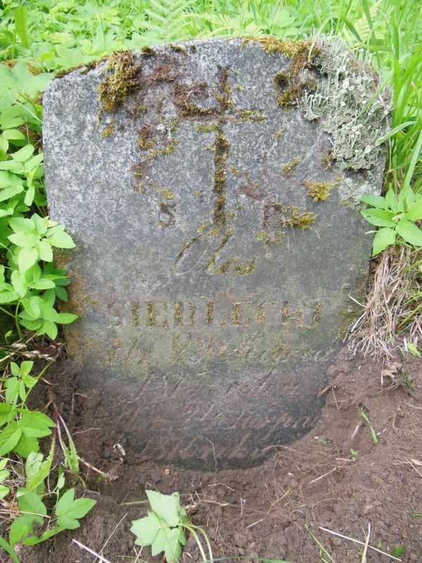Tombstone of Aleksander Siedlecki, Na Rossie cemetery in Vilnius, as of 2013