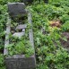 Fotografia przedstawiająca Tombstone of Bolesław and Zofia Szrubis