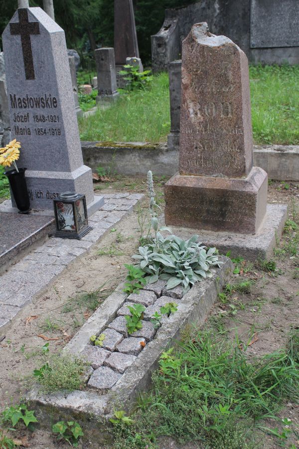 Nagrobek Eweliny Roh, cmentarz Na Rossie w Wilnie, stan z 2013 r.