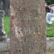 Fotografia przedstawiająca Tombstone of Ewelina Roh