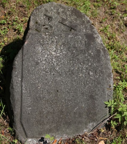 Nagrobek Jakuba Rosińskiego, cmentarz Na Rossie w Wilnie, stan z 2013