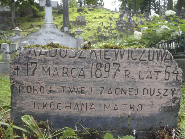 Inskrypcja na nagrobku N.N. Raduszkiewicz, cmentarz na Rossie w Wilnie, stan z 2013