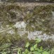 Fotografia przedstawiająca Nagrobek N.N. Raduszkiewicz