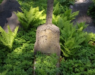 Nagrobek Wacława Żukowskiego, cmentarz Na Rossie w Wilnie, stan z 2013