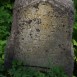 Photo montrant Tombstone of Wacław Żukowski