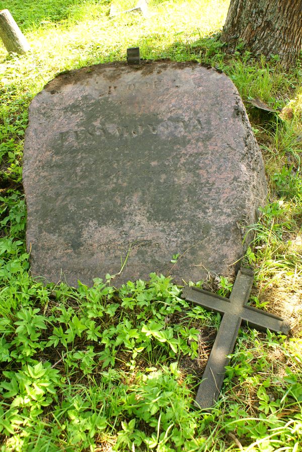 Nagrobek Franciszka Ejsmonta, cmentarz na Rossie w Wilnie, stan z 2013