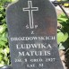 Photo showing Tombstone of Ludwika Matulis