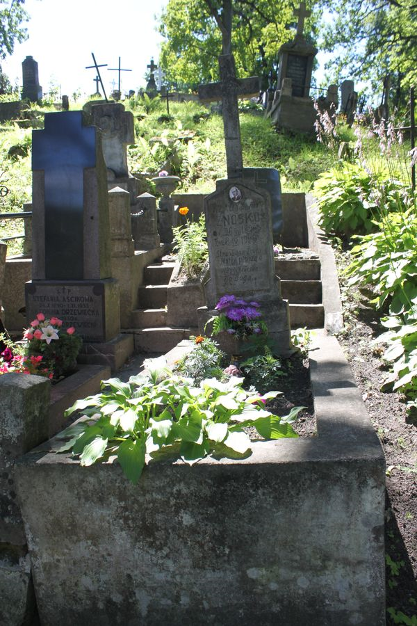 Tombstone of Władysław Znoska, Rossa cemetery in Vilnius, state of 2013