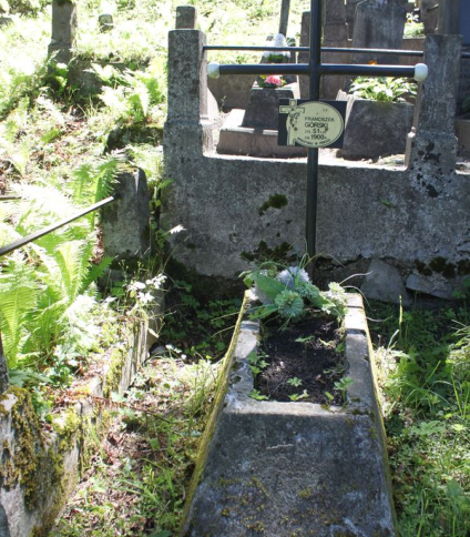 Nagrobek Franciszka Górskiego, cmentarz na Rossie w Wilnie, stan z 2013