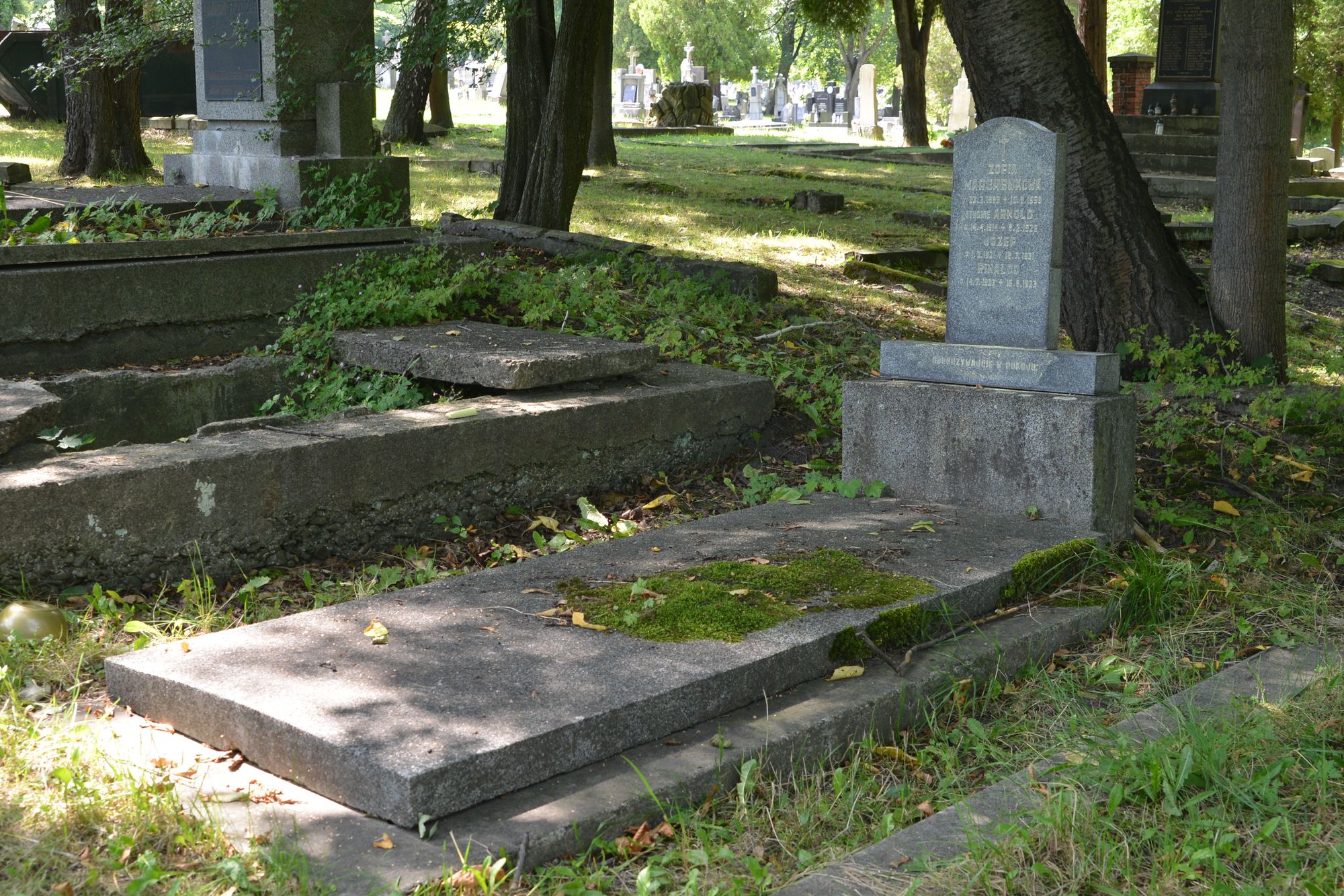 Tombstone of the Marchewka family, Karviná Doły cemetery