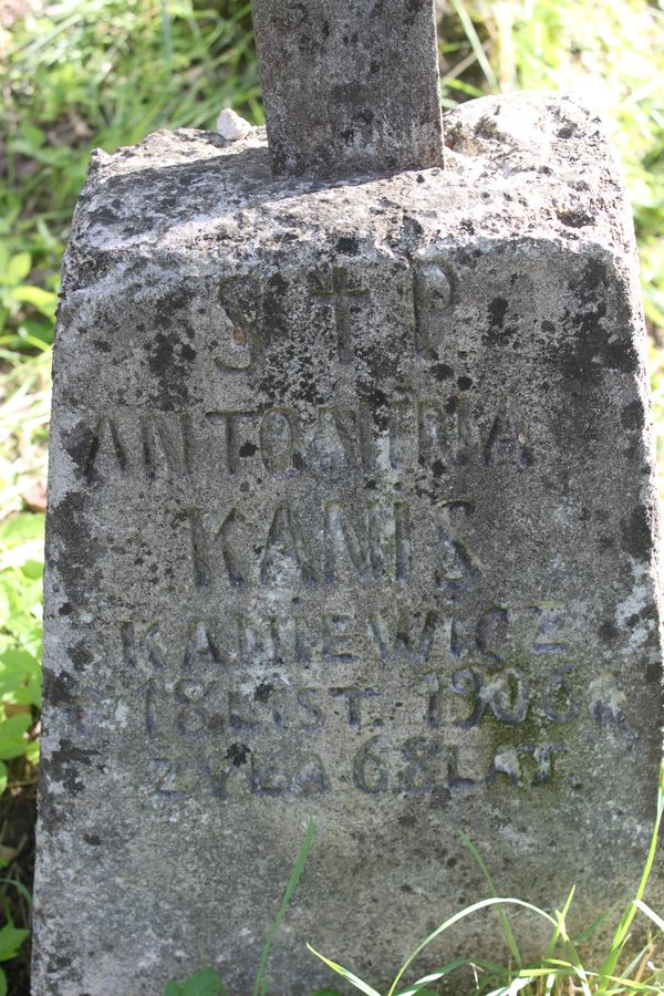 Inskrypcja na nagrobku Antoniny Kanis-Kaniewicz, cmentarz na Rossie w Wilnie, stan z 2013