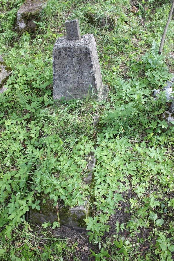 Nagrobek Antoniny Kanis-Kaniewicz, cmentarz na Rossie w Wilnie, stan z 2013