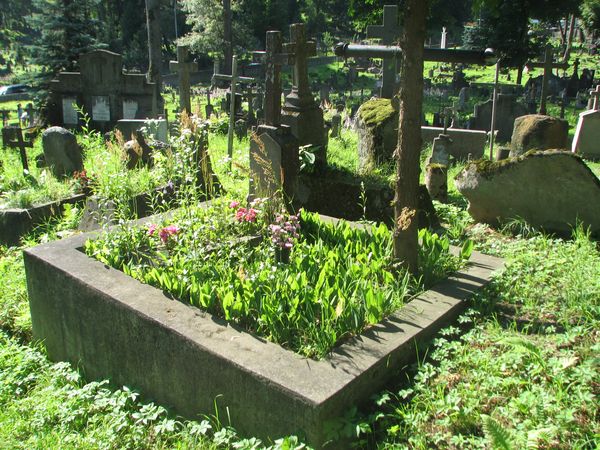 Nagrobek Konstantego Sienkiewicza, cmentarz na Rossie, stan z 2013 roku