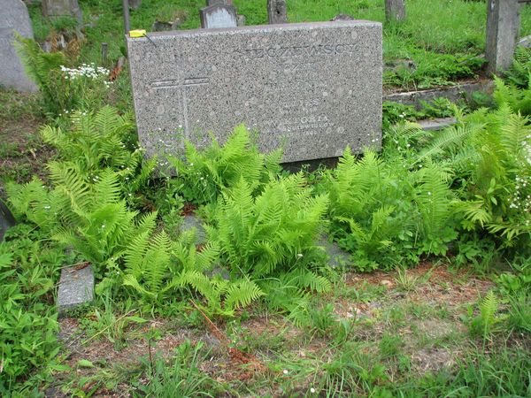 Tombstone of the Gieczewski family, Ross cemetery, state of 2013