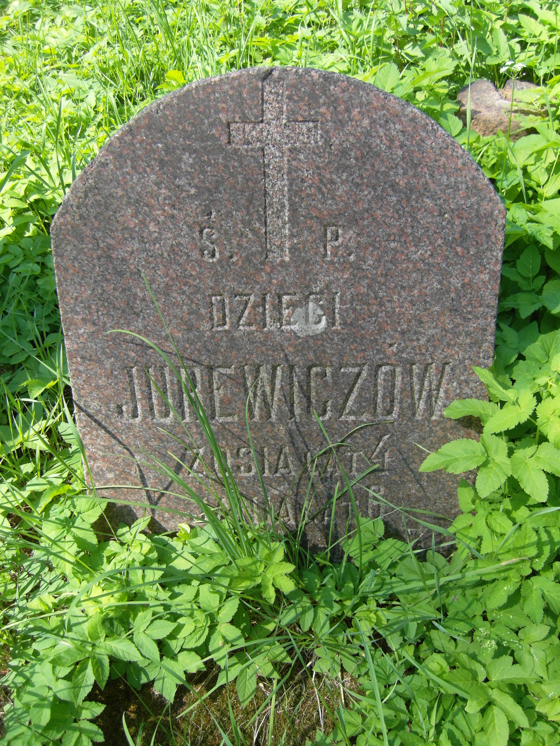 Fragment grobowca rodziny Jurewiczów, cmentarz Na Rossie w Wilnie, stan z 2013 r.