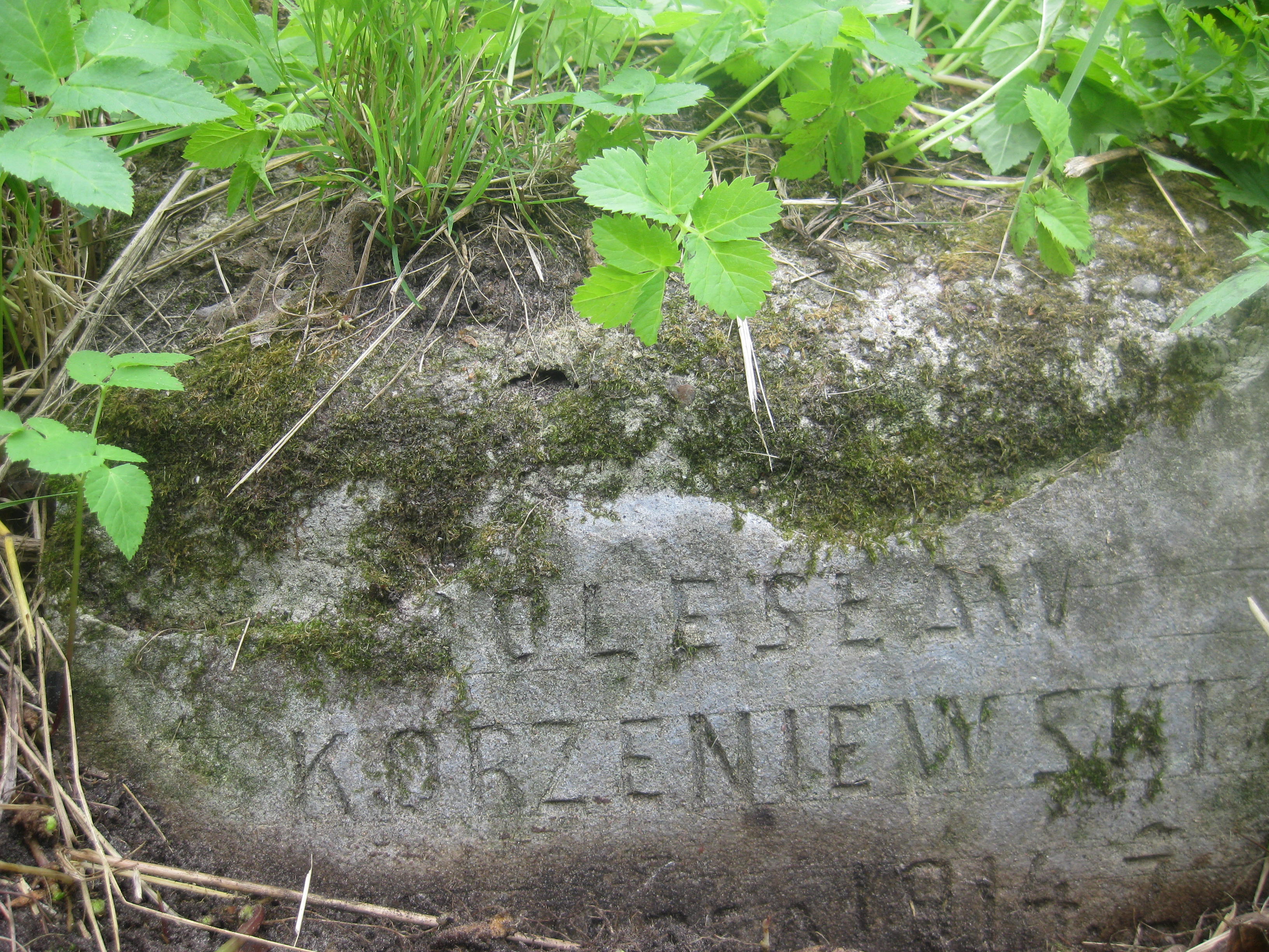 Fragment of the tombstone of Boleslaw Korzeniewski, Na Rossie cemetery in Vilnius, as of 2014.