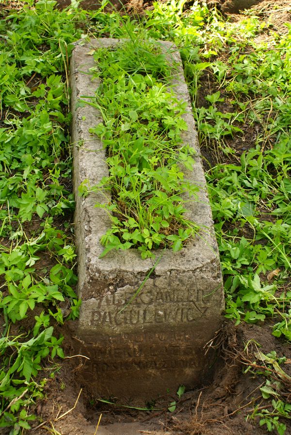 Tombstone of Aleksander Paciulewicz, Ross cemetery in Vilnius, state 2013