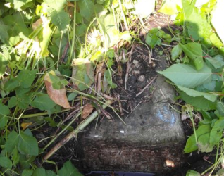 Nagrobek Adama Nowickiego, cmentarz na Rossie w Wilnie, stan na 2014 r.