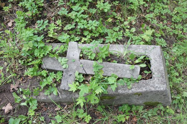 Tombstone of N.N. Zhukovskaya, Rossa cemetery in Vilnius, as of 2013