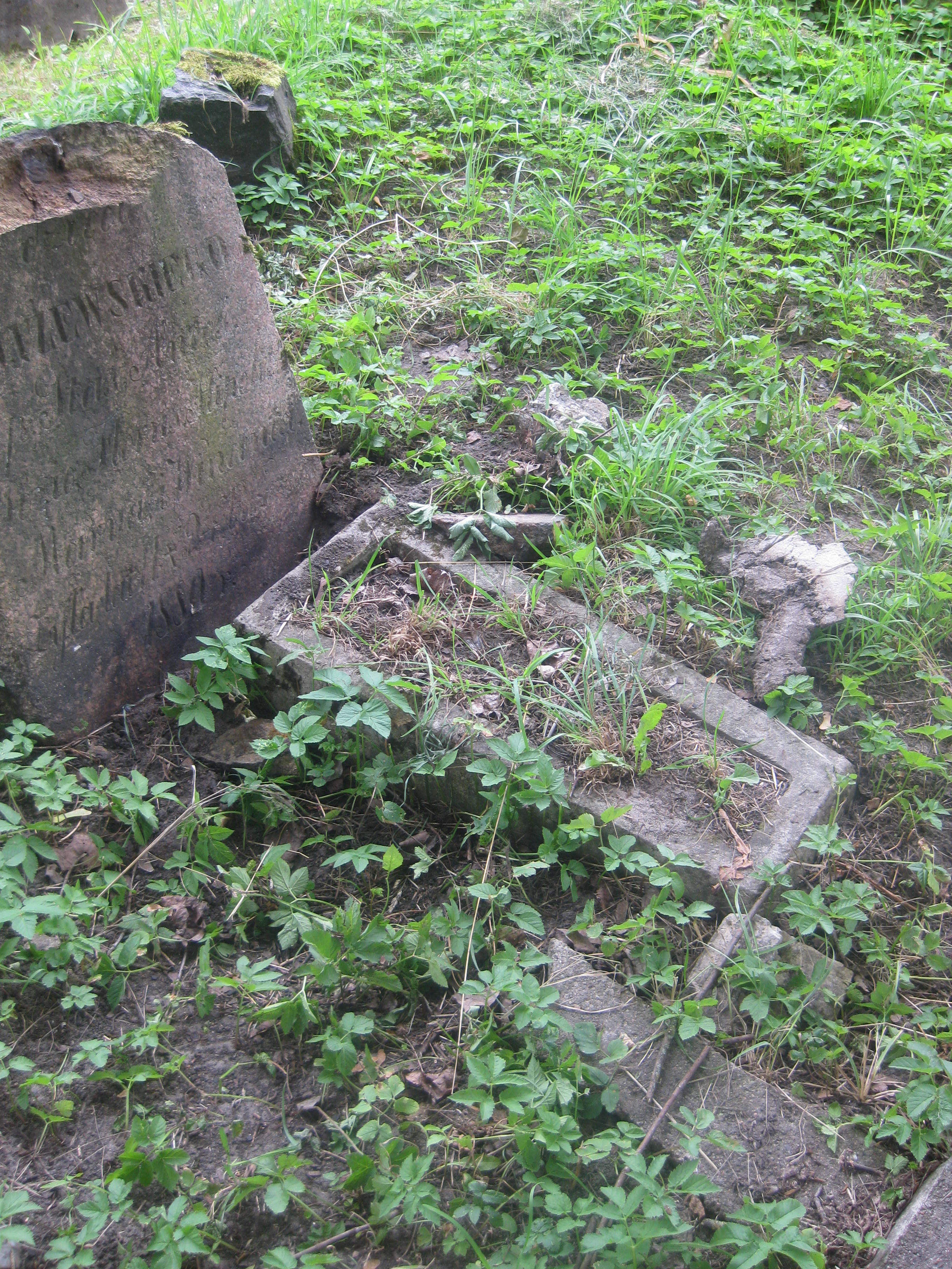 Nagrobek rodziny Gojrzewskich, cmentarz Na Rossie w Wilnie, stan z 2013 r.