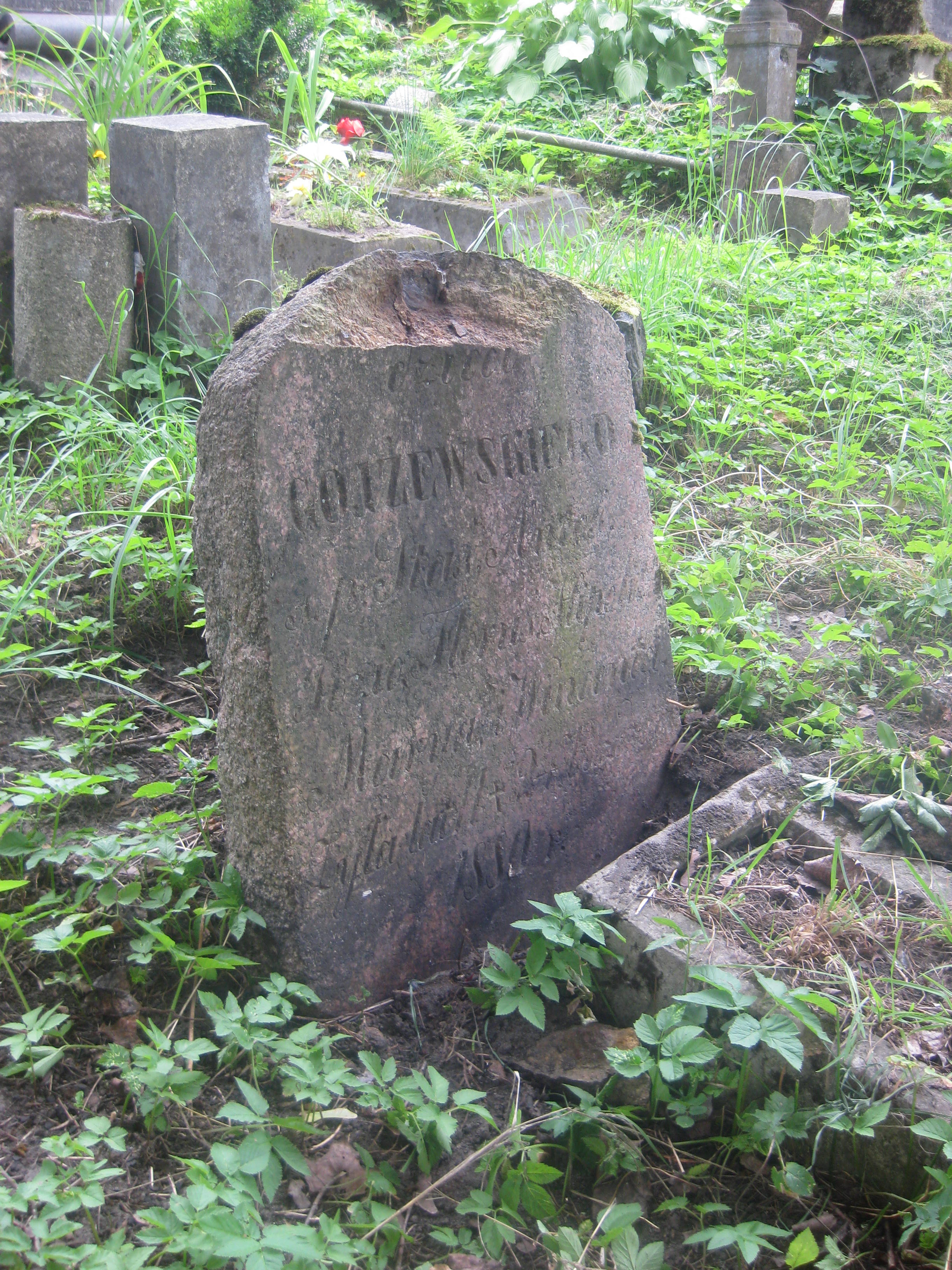 Tombstone of the Gojrzewski family, Na Rossie cemetery in Vilnius, as of 2013.