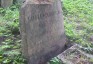 Fotografia przedstawiająca Tombstone of the Gojrzewski family