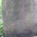 Fotografia przedstawiająca Tombstone of the Gojrzewski family