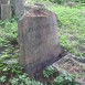 Photo montrant Tombstone of the Gojrzewski family