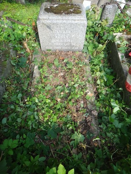 Tombstone of the Marajski family and Stanislaw Szulc, Na Rossie cemetery in Vilnius, as of 2013.