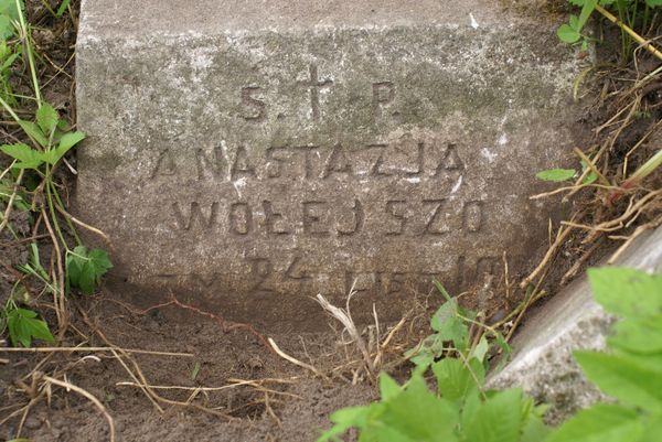 Fragment of the tombstone of Anastasia Volyszo, Vilnius Rossa Cemetery, 2013