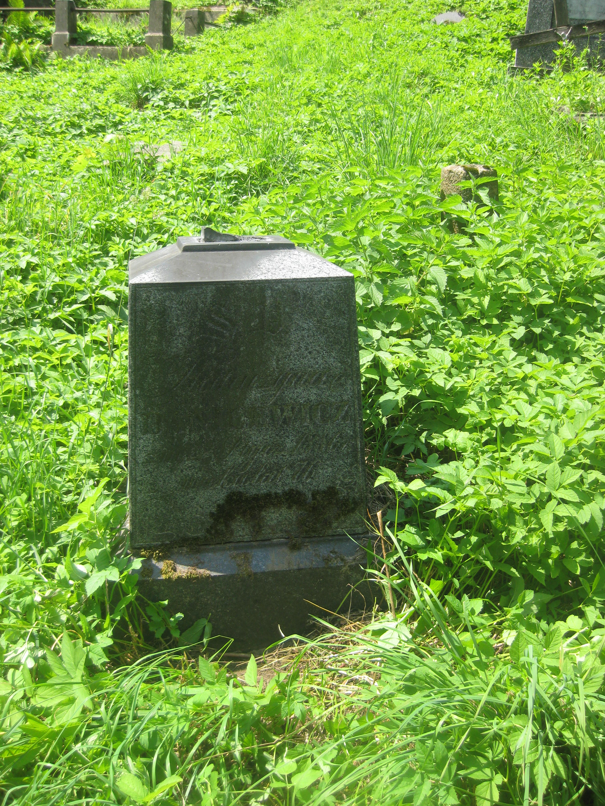 Tombstone of Katarzyna Danilewicz, Na Rossie cemetery in Vilnius, as of 2013.