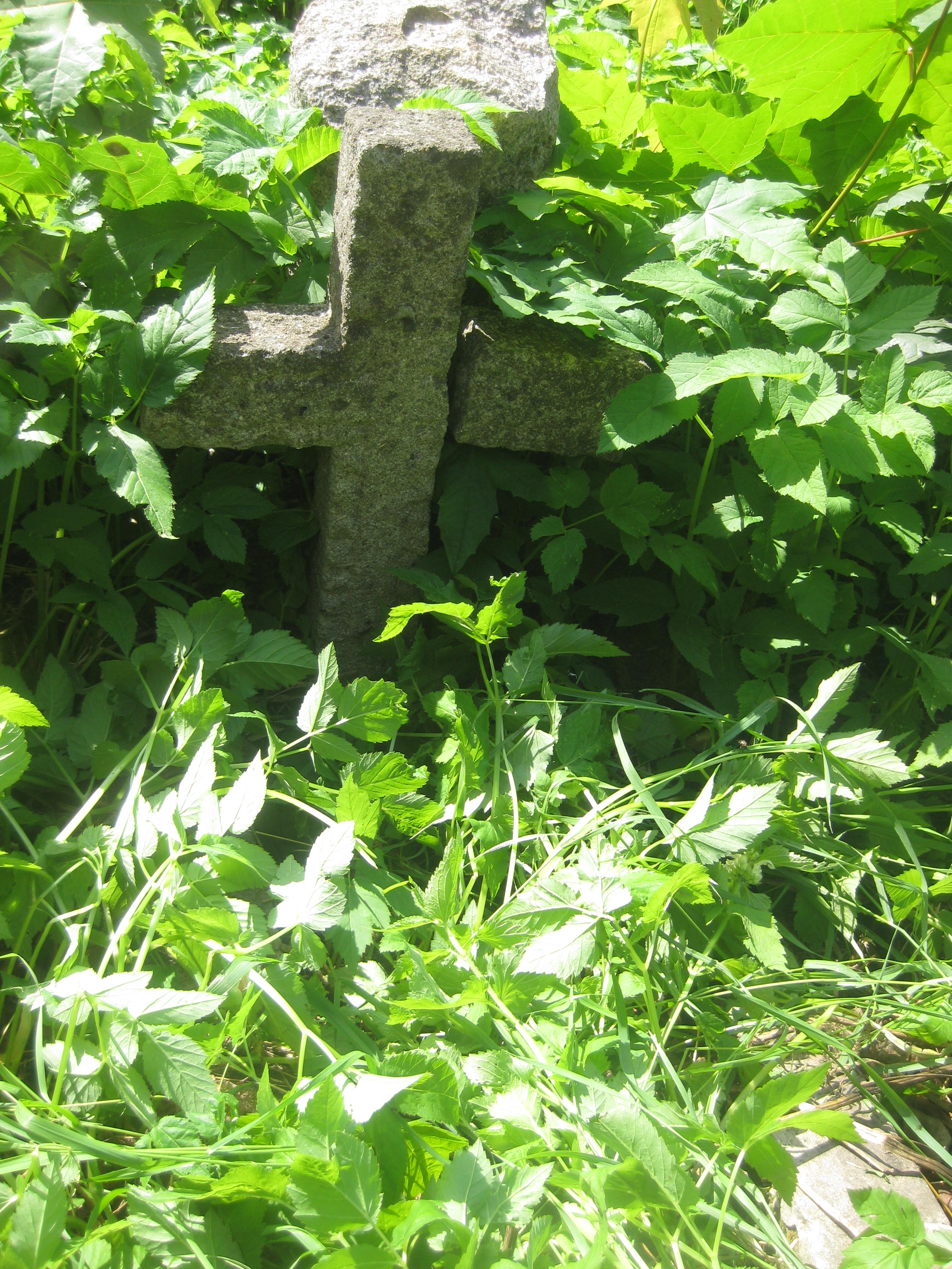 Nagrobek Konstancji N.N., cmentarz Na Rossie w Wilnie, stan z 2013 r.