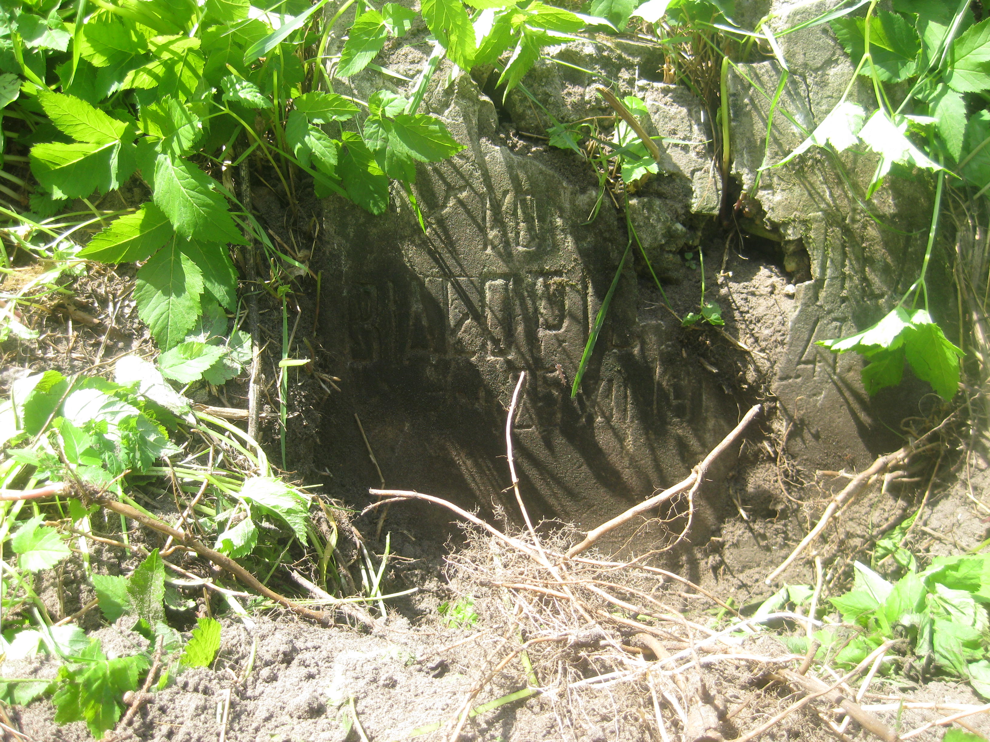 Nagrobek Konstancji N.N., cmentarz Na Rossie w Wilnie, stan z 2013 r.