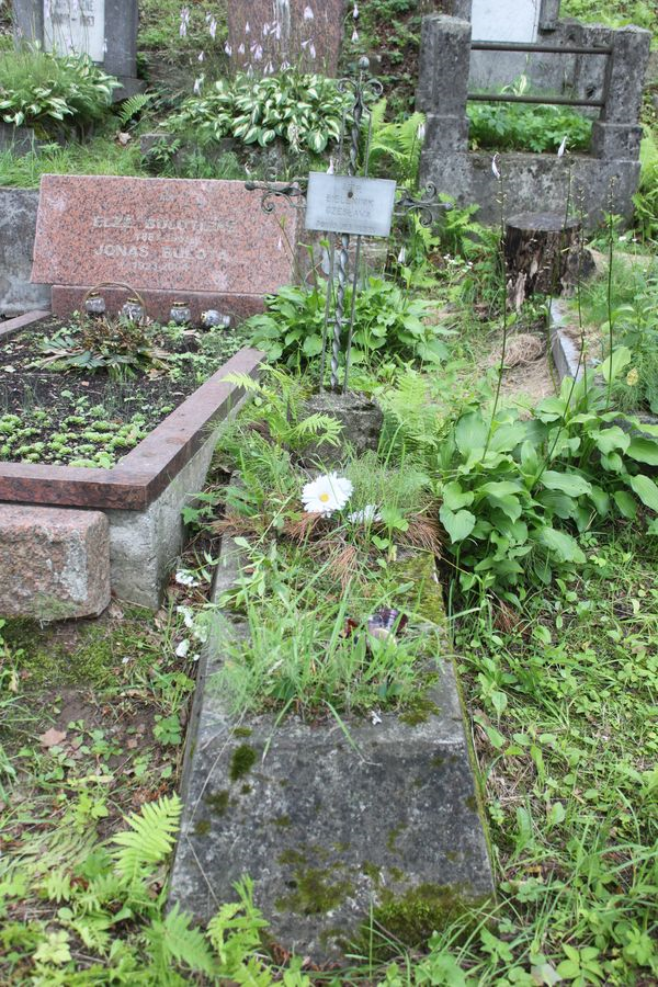 Nagrobek Czesławy Bieleninik, cmentarz na Rossie w Wilnie, stan z 2013