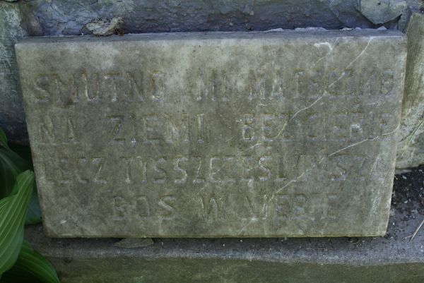 Fragment nagrobka Aleksandry Łukaszewicz, cmentarz na Rossie w Wilnie, stan z 2013