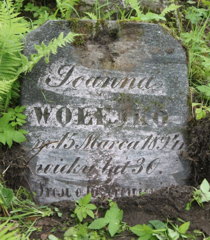 Nagrobek Joanny Wołejko, cmentarz na Rossie w Wilnie, stan z 2013