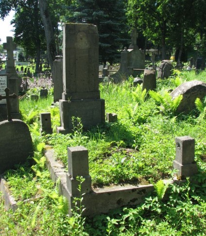 Nagrobek Władysława Oziewicza, cmentarz na Rossie, stan z 2013 roku