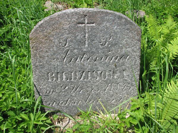 Fragment of the tombstone of Antonina Wildzis, Ross Cemetery, as of 2013