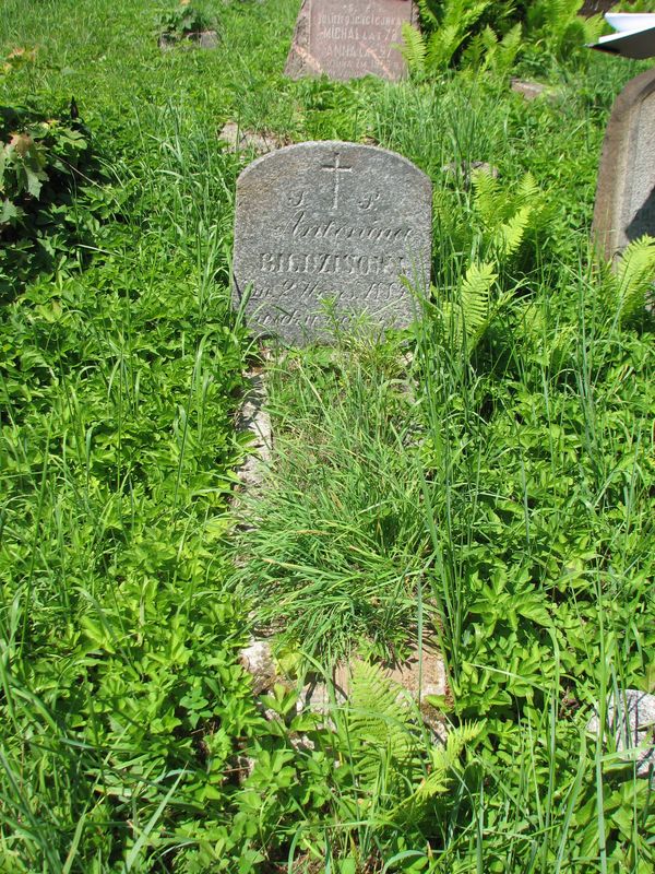 Tombstone of Antonina Wildzis, Ross cemetery, state of 2013