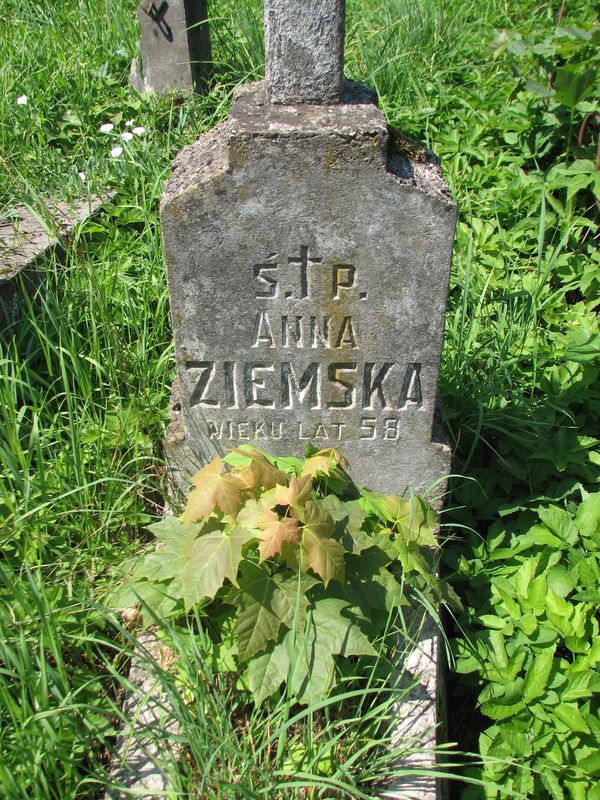 Fragment nagrobka Anny Ziemskiej, cmentarz na Rossie, stan z 2013 roku