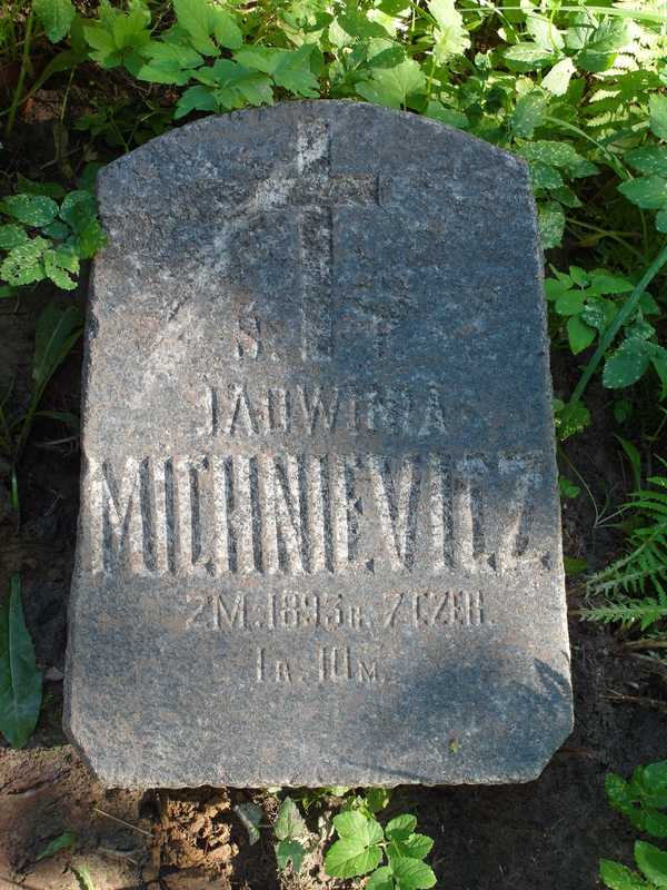 Tombstone of Jadwiga Michniewicz, Na Rossie cemetery in Vilnius, as of 2014